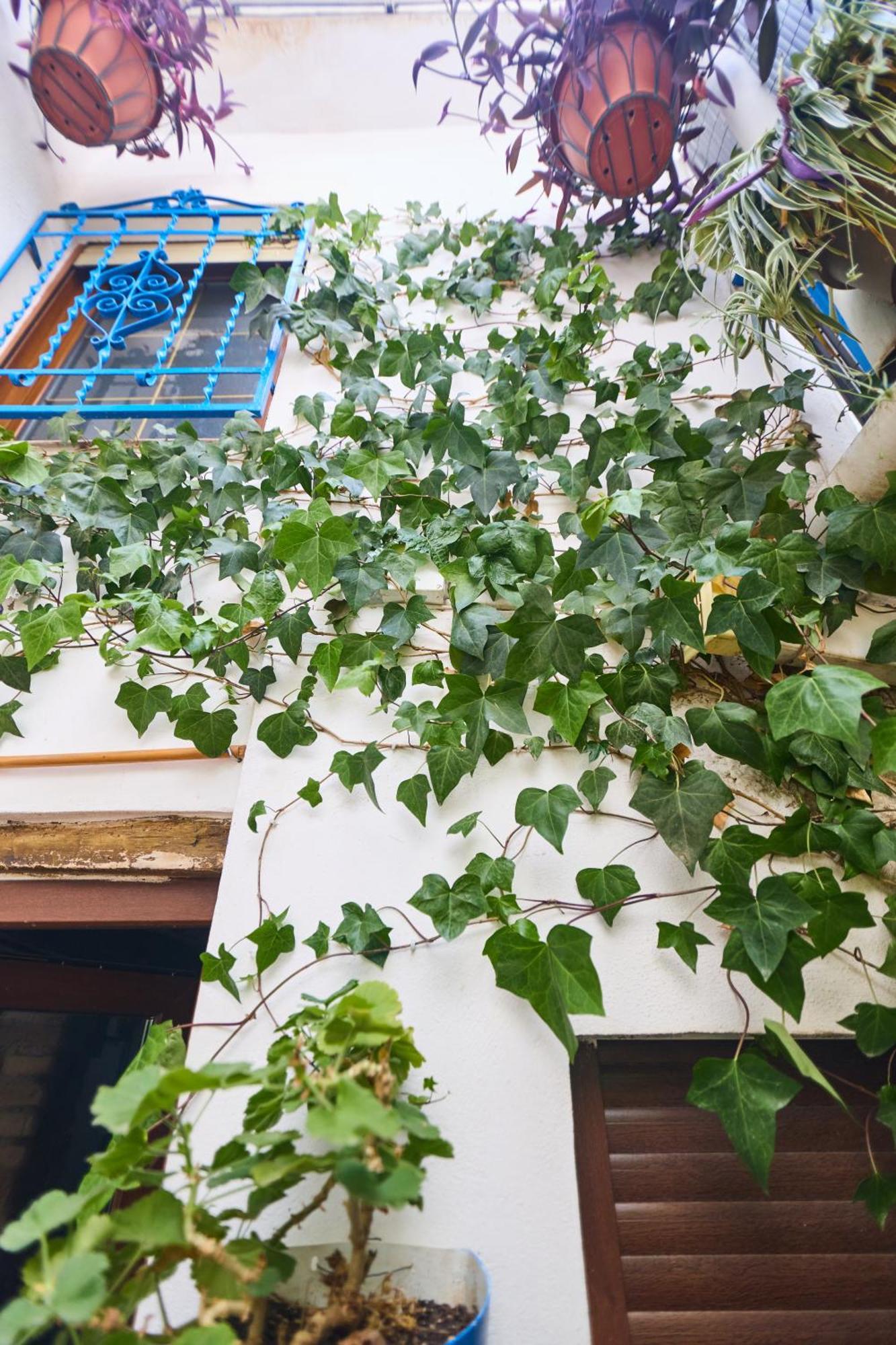 Casa El "Tablao De Las Almendras" Γρανάδα Εξωτερικό φωτογραφία